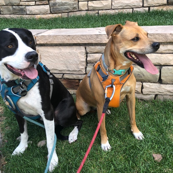 Meet your Posher, Isa - Picture 5 of 6